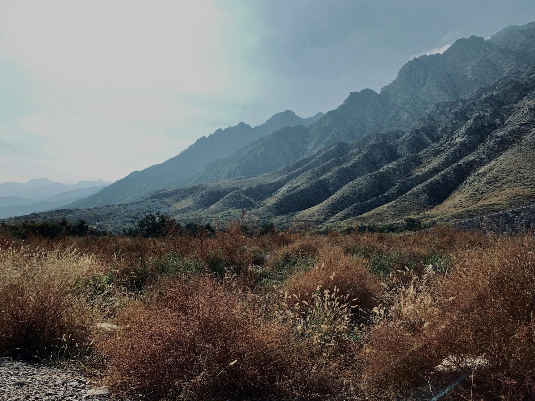 内蒙古草原周末 行程中的景点:Xilamuren Grassland